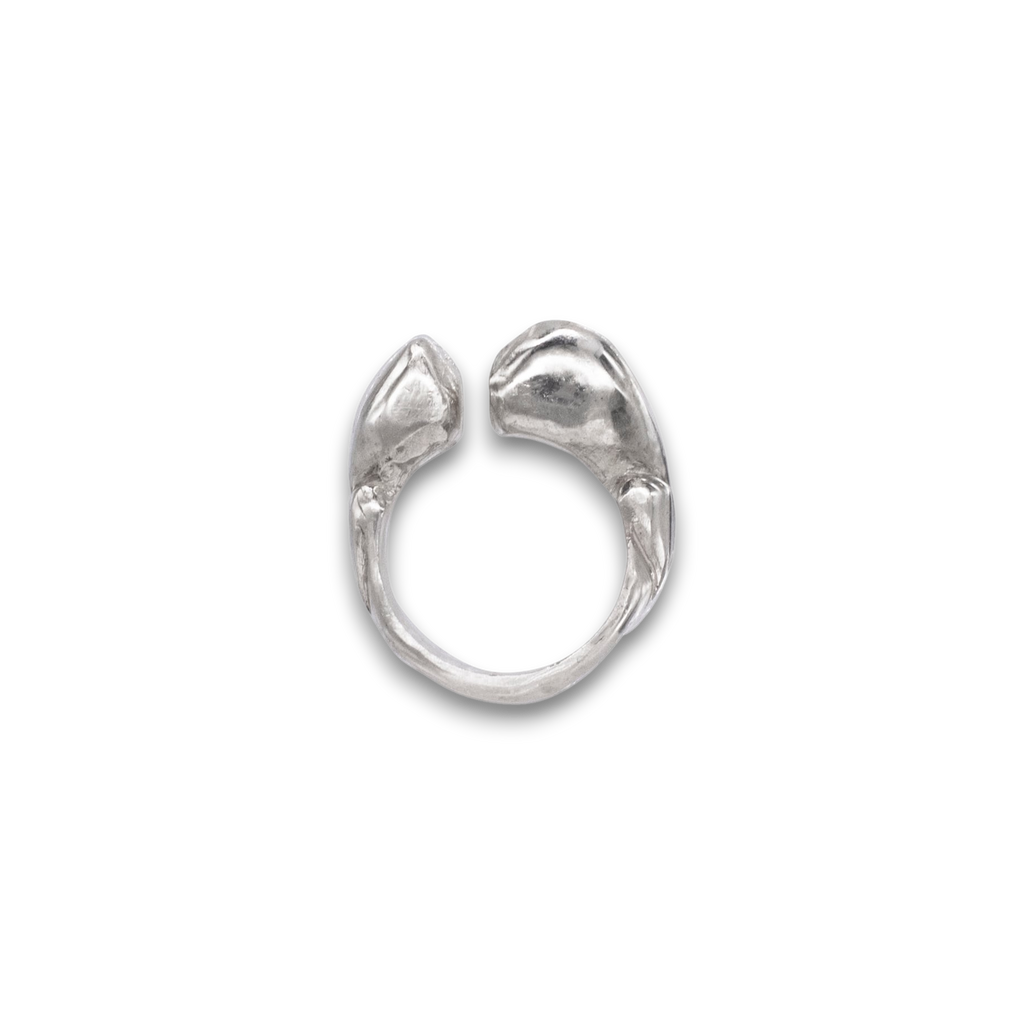 Double heart ring