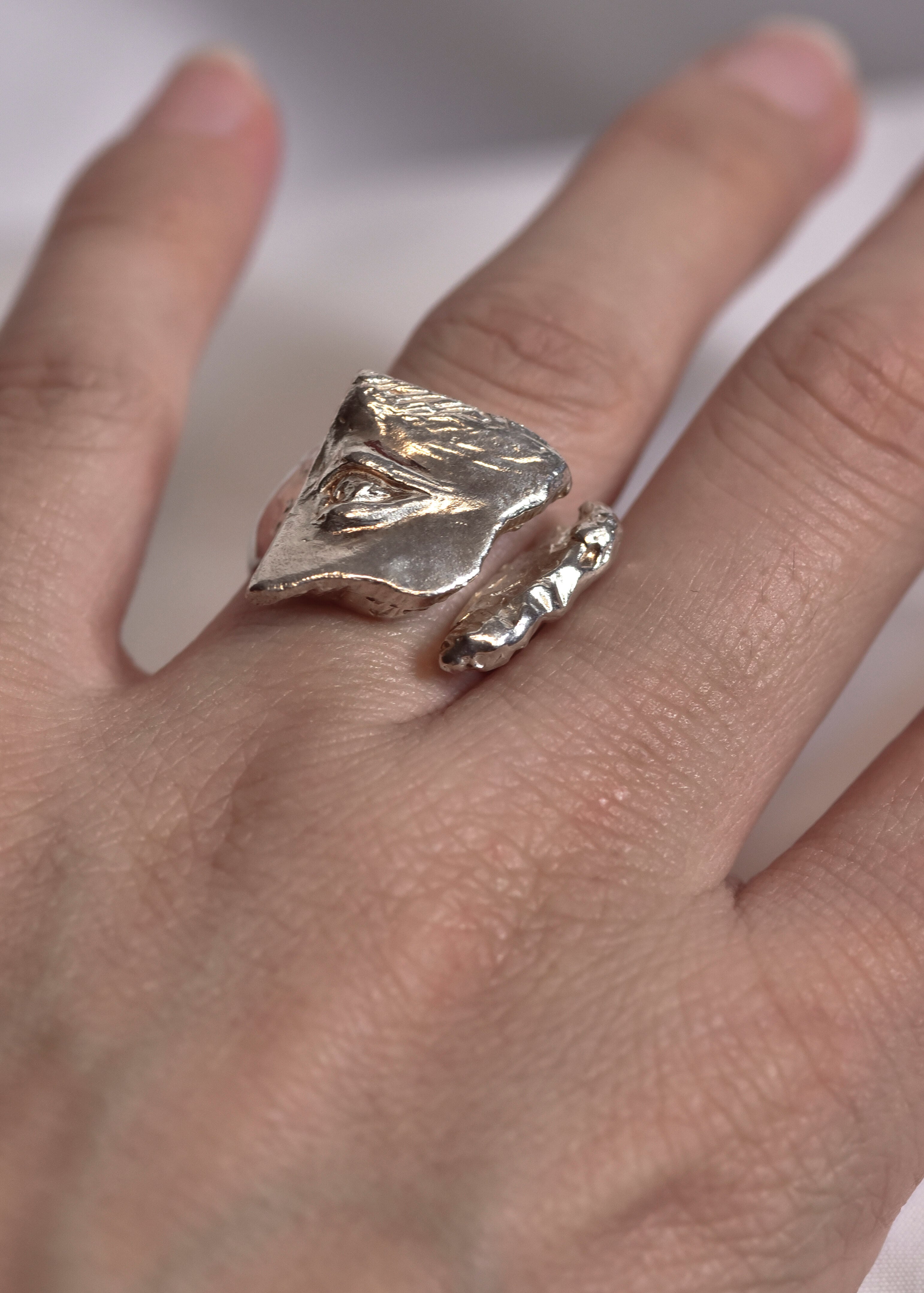 Profile ring