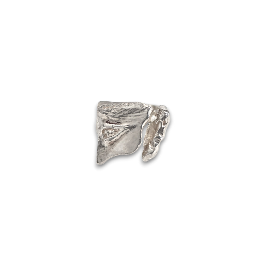 Profile ring